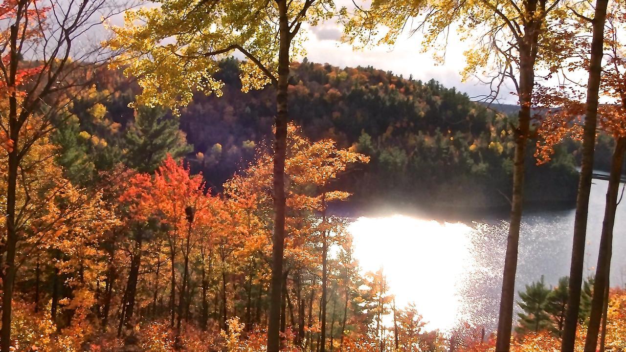 Domaine Baie Mud Lägenhet Val des Monts Exteriör bild